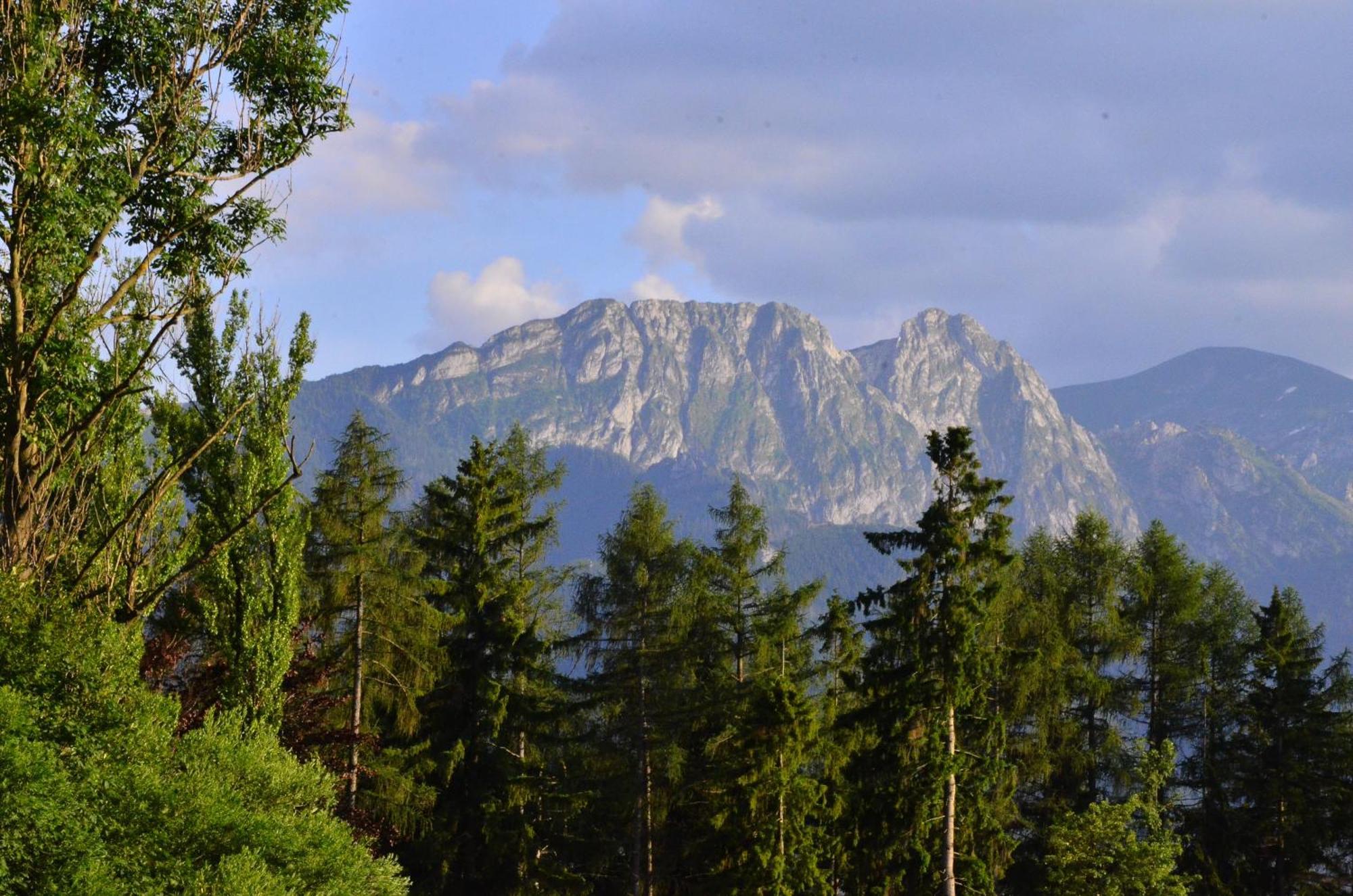 Chata Walczakow -Blue Cave Cottage Zakopane Luaran gambar